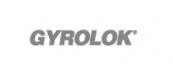 美國(guó) GYROLOK