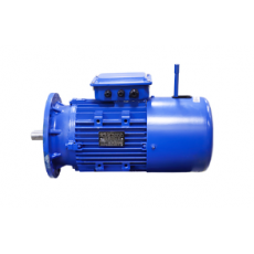 WOLONG 風(fēng)電偏航電機(jī)系列