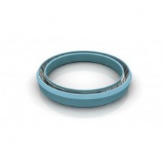 TRELLEBORG 單作用密封件Variseal M2系列