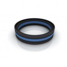 TRELLEBORG 緊湊型密封件POLYPAC DBM系列
