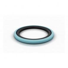 TRELLEBORG 雙作用密封件Glyd Ring D系列